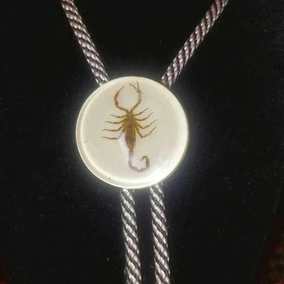Real Scorpion Bolo Tie Acrylic Lucite Round Black White Cord Western - Picture 2 of 7